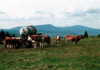 32-sumava-nad-volary Nad Volary, v pozadí Boubín a Bobík