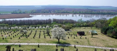 Žehuňský rybník u Poděbrad při pohledu z Žehuňské obory, od loveckého zámečku