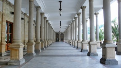 P1540694
