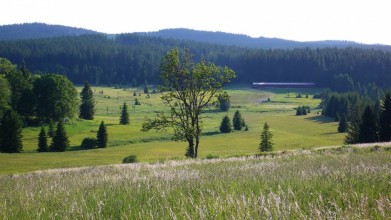 Pohoří na Šumavě