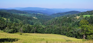 Šumava, pohled od Nicova do údolí Zlatého potoka, vlevo na obzoru Křemelná ( 1 125 m)