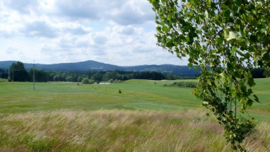 p1540257