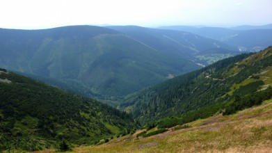 Údolí Svatopetrského potoka