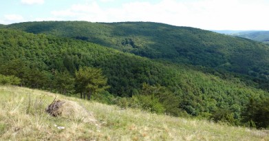 Pohled ze svahů nad Hostimí, kopce v okolí Doutnáče
